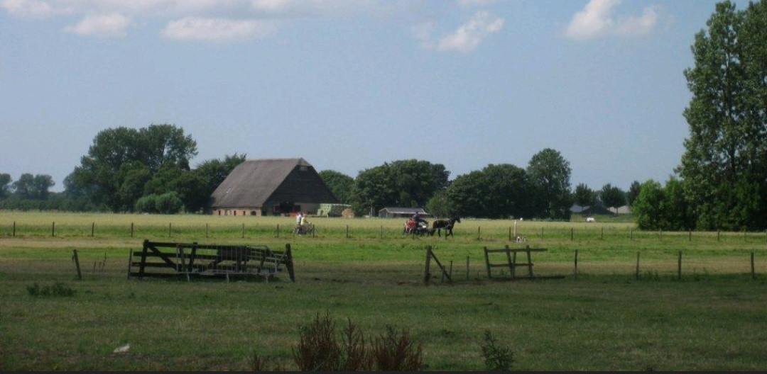 Albrandswaards Dagblad | VVPA:'Dit Jaar Géén Polderdag In Rhoon'