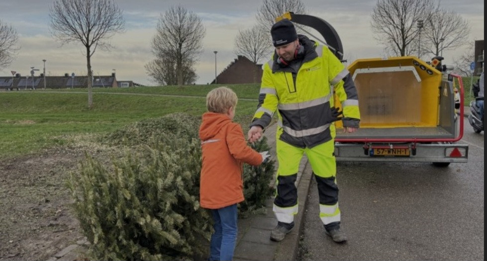 Verdien een zakcentje met kerstbomeninzameling in Albrandswaard