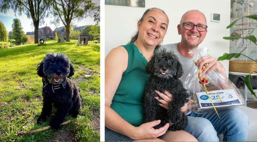 Benji, 'mascotte' van De Tweemaster in Barendrecht