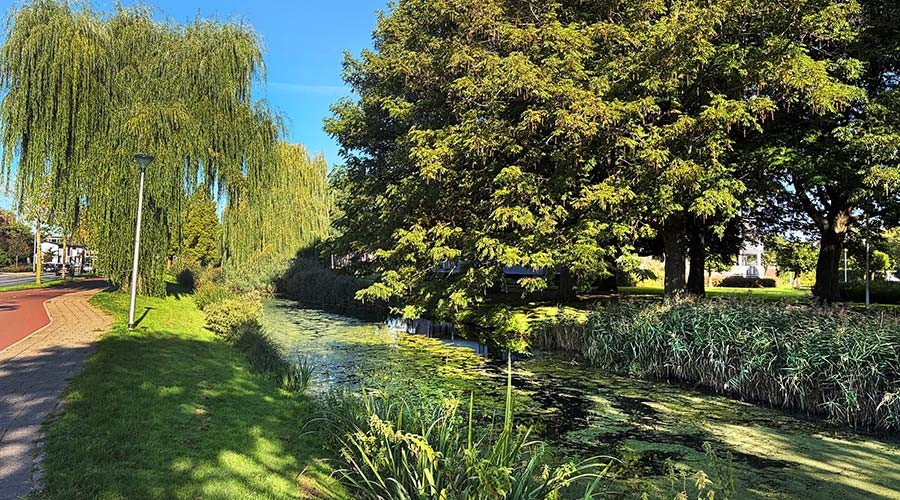 Van droge zomers naar 'n groene, koele toekomst