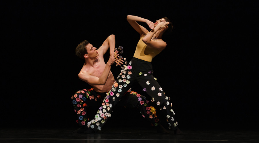 Barendrechts Dagblad Holland Dance Festival in Theater het Kruispunt