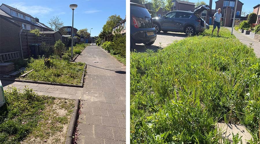 EVB wil aanpak van onkruidjungle aan de Klipper in Barendrecht