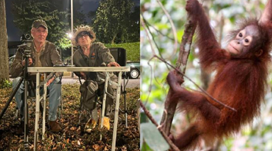 Wildlife Film Festival Rotterdam draait recordaantal Nederlandse films