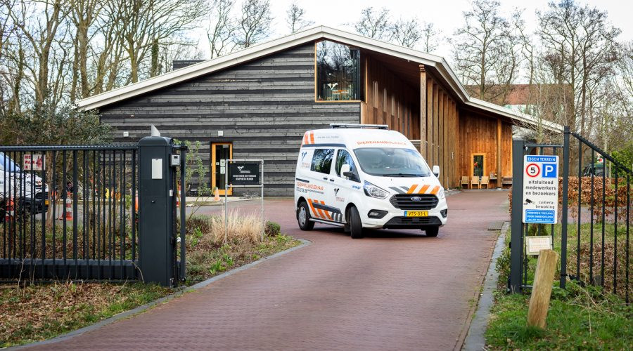 Druk jaar voor Dierenambulance Den Haag: 44.000 telefoontjes in 2025