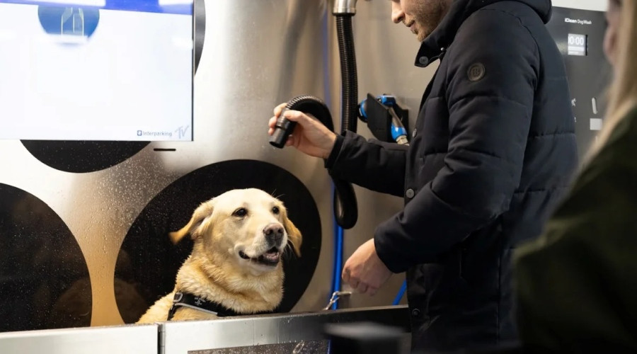 Allereerste hondenwasstraat geopend in Interparking Scheveningen