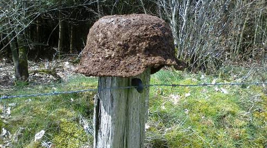 Spoedcursus over oorlogsvondsten in Muzee Scheveningen