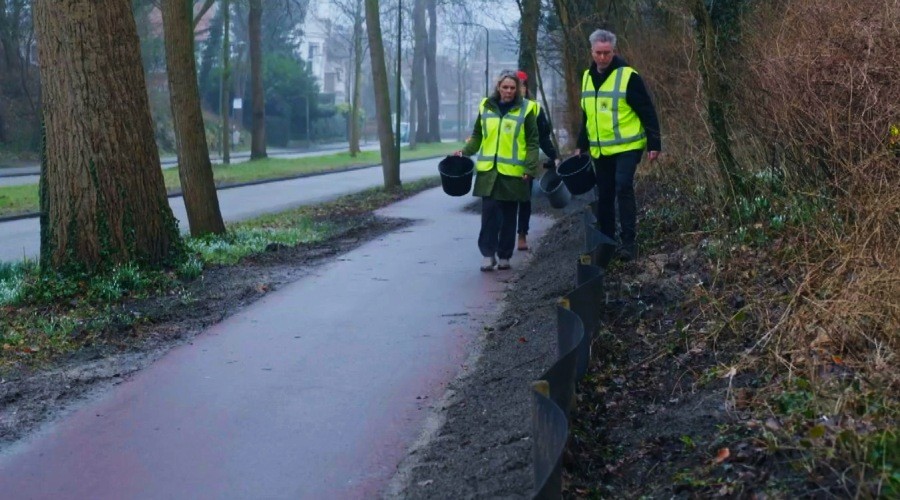 Meer dan 8.600 dieren geholpen tijdens paddentrek in Den Haag
