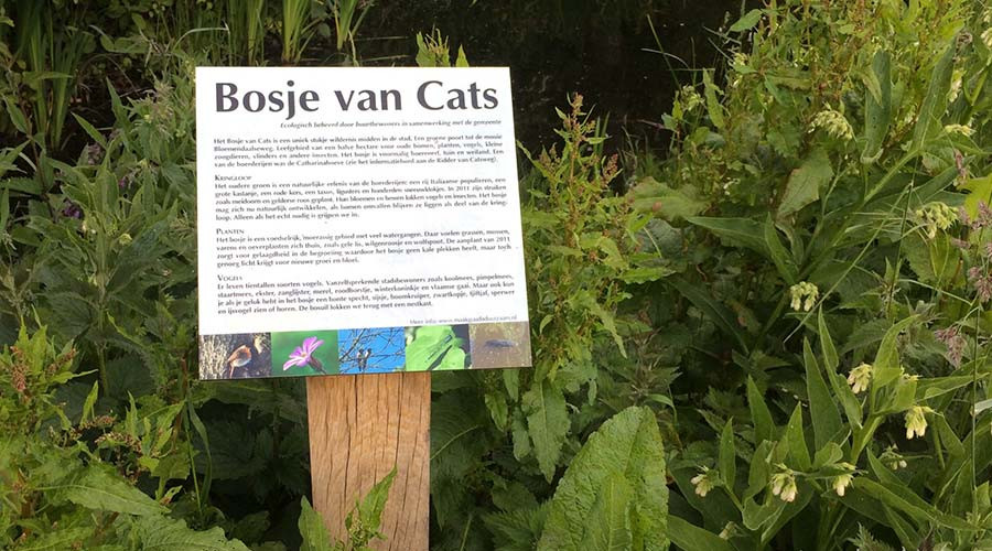 Bosje van Cats in Gouda opruimen tijdens NL doet