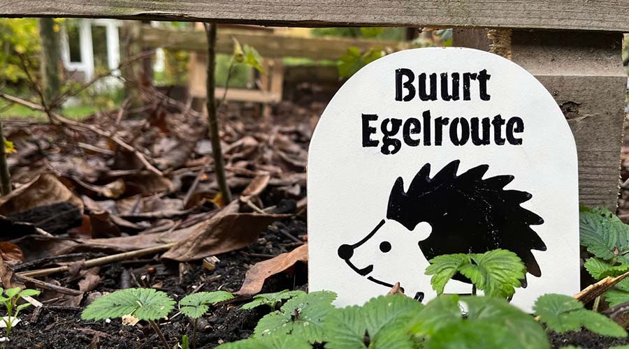 8 april: infoavond egelroutes en natuurvriendelijk tuinieren in Gouda