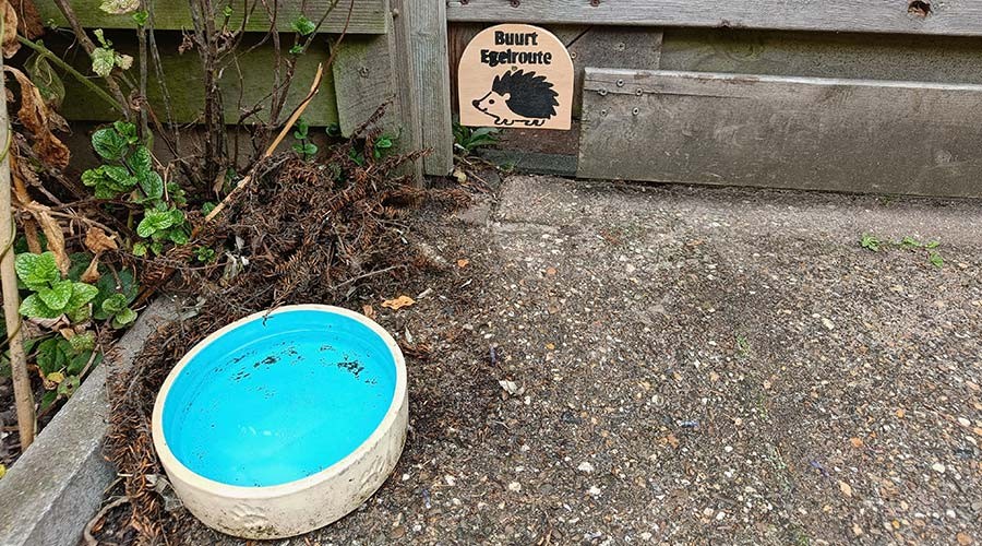 Infoavond egelroutes & natuurvriendelijk tuinieren op 8 april in Gouda