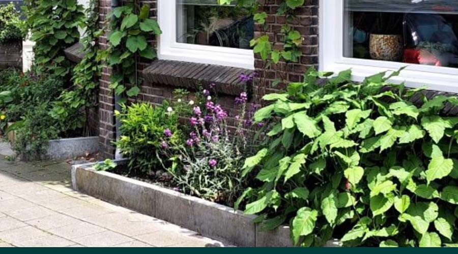 Vraag jouw geveltuin in Gouda aan