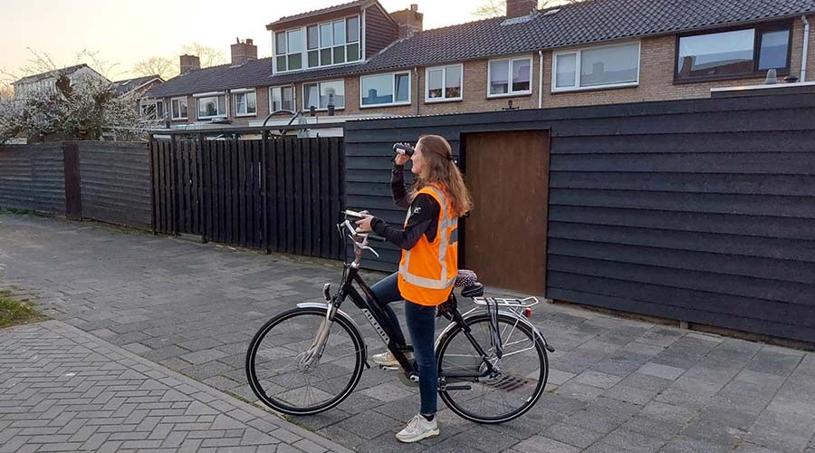 Gemeente Gouda doet onderzoek naar beschermde dieren in gebouwen