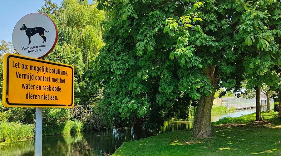 Gemeente Gouda plaatst waarschuwingsborden voor botulisme