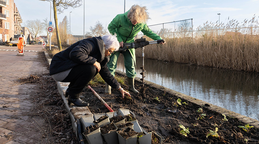 Samen de handen uit de mouwen voor een groenere Walvisstraat in Gouda