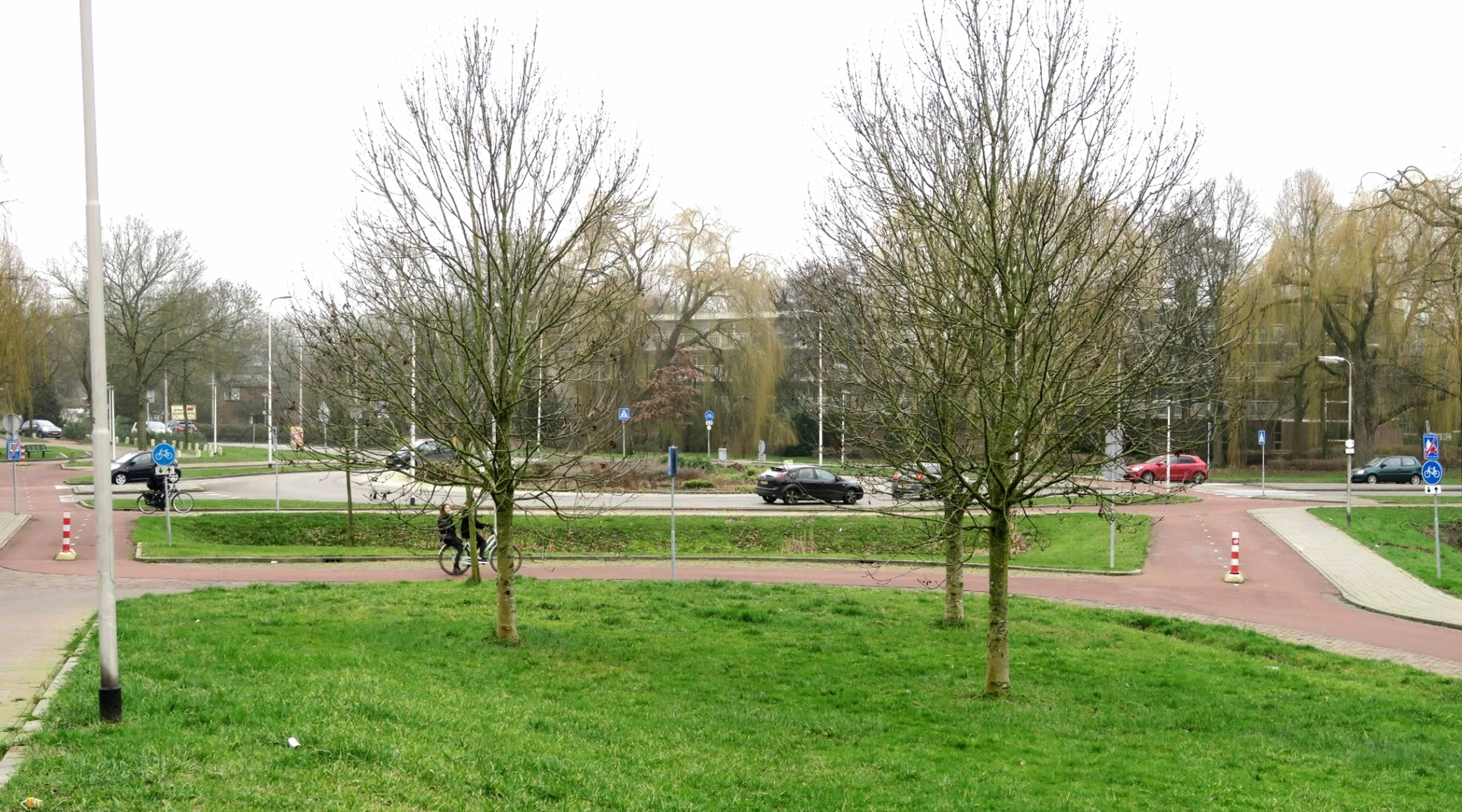 mainImage
