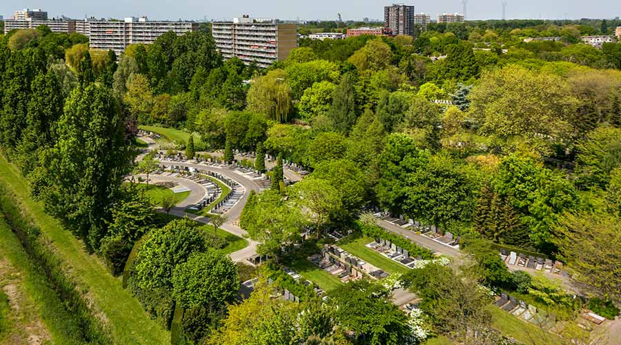 Nabestaanden algemene graven Vredehof gezocht
