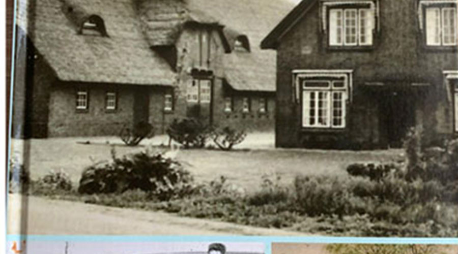mainImage
