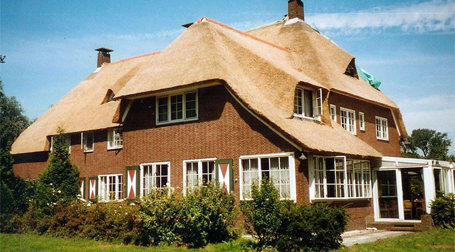 mainImage