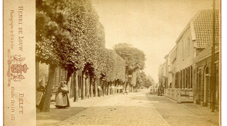 mainImage