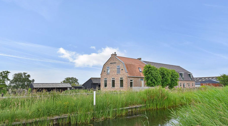 mainImage