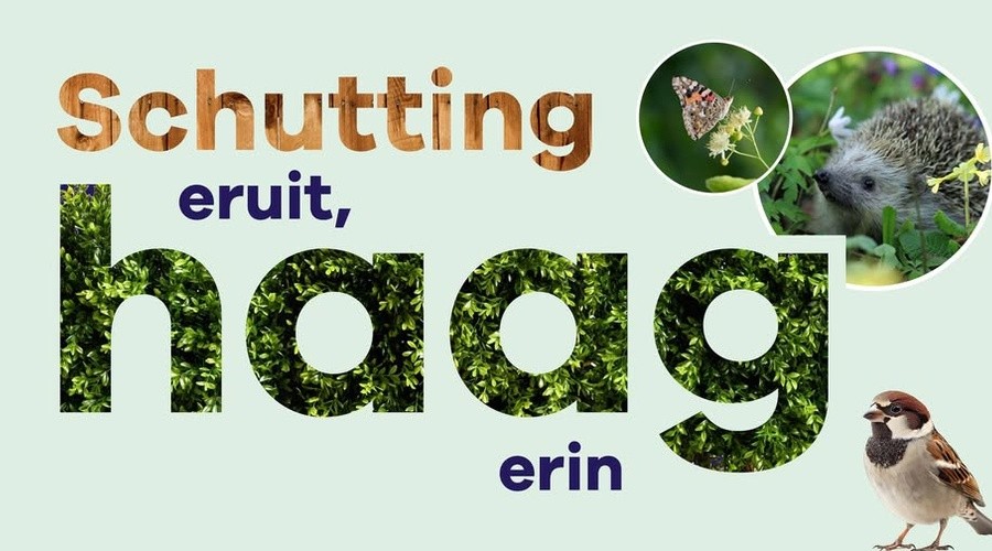 Oude schutting eruit? Gemeente Leidschendam-Voorburg gratis op